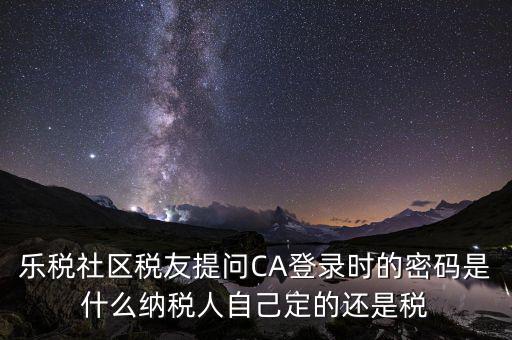 納稅人登路的密碼是什么意思，國稅第一次網(wǎng)上申報的登陸密碼是什么