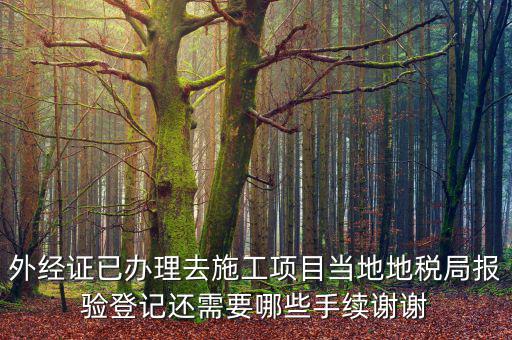 外管證報(bào)驗(yàn)都需要什么，辦了外管證咋申報(bào)