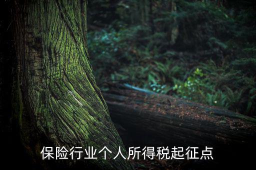 保險行業(yè)入交什么稅，保險行業(yè)個人所得稅起征點