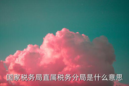 征管分局什么意思，國家稅務(wù)局直屬稅務(wù)分局是什么意思