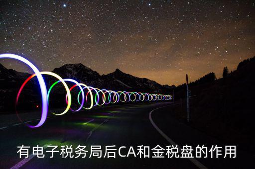 有電子稅務(wù)局后CA和金稅盤的作用