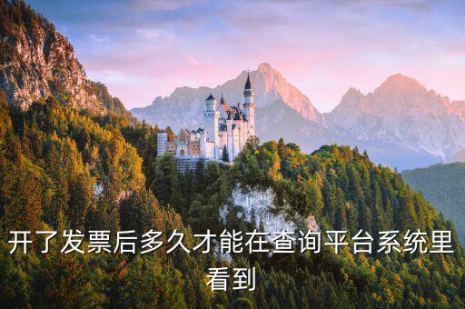 勾選平臺什么時候可以查到發(fā)票，已經(jīng)開具的專用發(fā)票多久才能在勾選平臺中查到