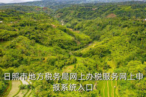 日照?qǐng)?bào)稅的網(wǎng)址是什么意思，網(wǎng)上報(bào)稅在哪個(gè)網(wǎng)站