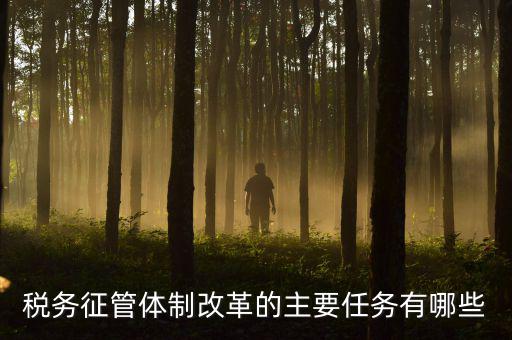 稅務系統(tǒng)的業(yè)務改革都有什么，稅務征管體制改革的主要任務有哪些