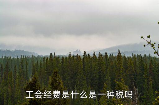 工會稅是什么，精靈樂章 工會抽稅是什么意思要詳細的