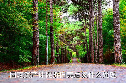 什么是已折舊完未處理，固定資產報廢時折舊早已提完實物已沒有如何帳務處理