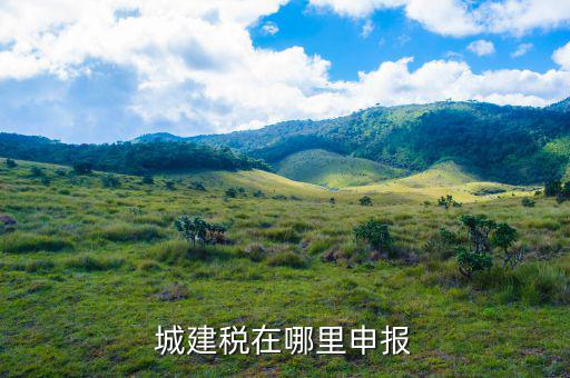 地稅城市維護(hù)建設(shè)稅按什么申報，城建稅申報