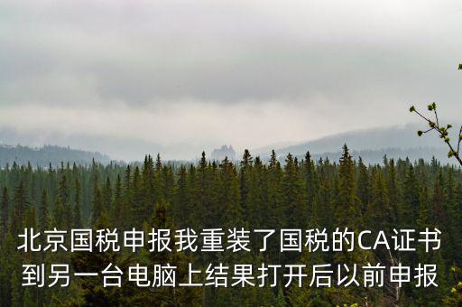 為什么有別的電腦上查不到國(guó)稅申報(bào)文件，國(guó)稅申報(bào)能在其他電腦里查看報(bào)表打印出來(lái)嗎如果不能查看和打