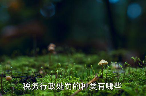 涉稅行政處罰包括什么，什么叫稅務(wù)行政處罰當(dāng)事人