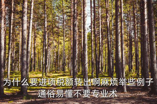 為什么要進項稅額轉出，為什么要進項稅額轉出啊麻煩舉些例子通俗易懂不要專業(yè)術