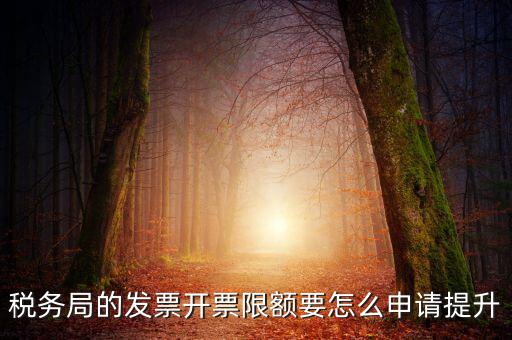 提高開票限額申請需要什么資料，去稅務局增大公司的開票限額需要帶些什么我公司第一次開票去申