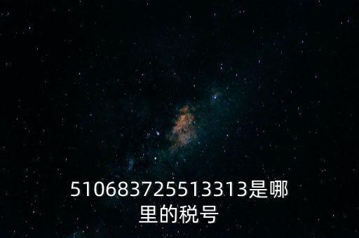 陜西省地方的稅號開頭是什么，510683725513313是哪里的稅號