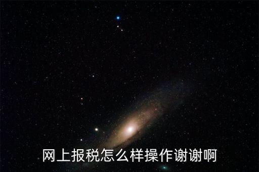 福建企業(yè)在什么網(wǎng)站報(bào)稅，網(wǎng)上報(bào)稅怎么樣操作謝謝啊
