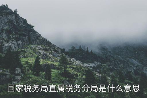 征管分局是什么，南通市通州區(qū)地方稅務(wù)局的征管分局