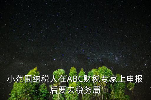 財稅專家是報什么稅，小范圍納稅人在ABC財稅專家上申報后要去稅務(wù)局