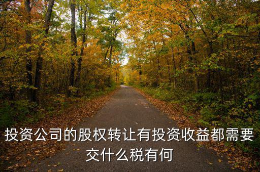 投資公司要交什么稅，投資集團公司如何繳稅