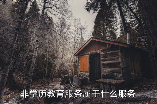非學(xué)歷教育服務(wù)入賬做什么，非學(xué)歷教育咨詢(xún)費(fèi)能入賬嗎