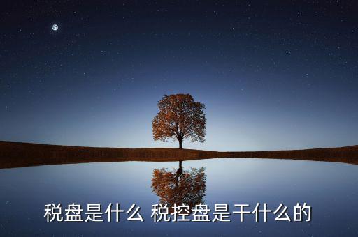 中稅協(xié)安全盤是什么，稅盤是什么 稅控盤是干什么的