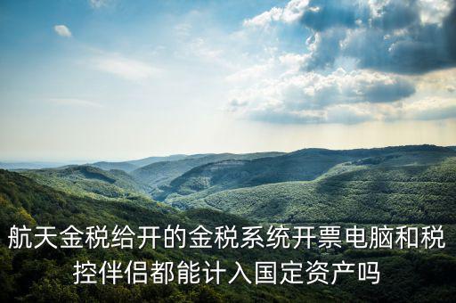 金稅為什么給中軟做，航天金稅給開的金稅系統(tǒng)開票電腦和稅控伴侶都能計(jì)入國(guó)定資產(chǎn)嗎