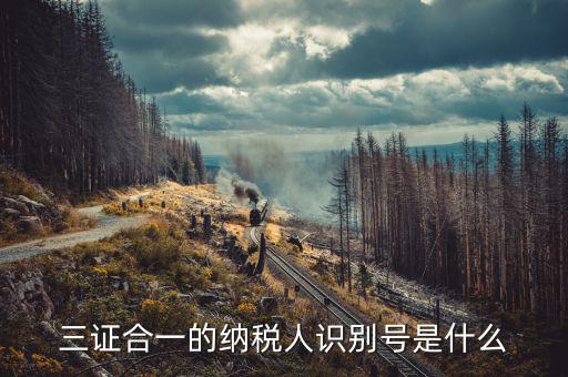 三證合一的稅號是什么，三證合一的納稅人識別號是什么