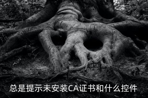 ca控件是什么意思，您是地稅CA用戶但未安裝企業(yè)CA控件為不影響申報(bào)功能正常使用請(qǐng)點(diǎn)