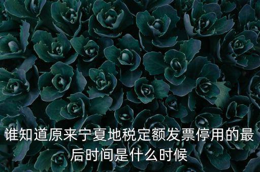 地稅的發(fā)票什么時(shí)候不能用，誰(shuí)知道原來(lái)寧夏地稅定額發(fā)票停用的最后時(shí)間是什么時(shí)候