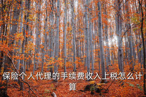 保險(xiǎn)代理員交什么稅，請(qǐng)問(wèn)從車(chē)輛保險(xiǎn)代理人的提承里扣的稅是什么稅啊