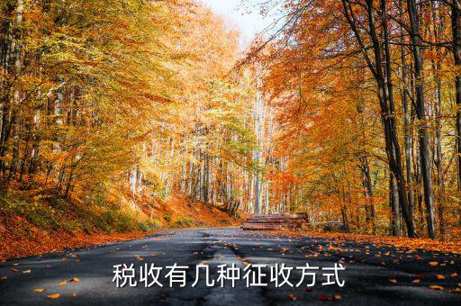 稅務(wù)征非稅采取什么方式，稅務(wù)征收有哪幾種