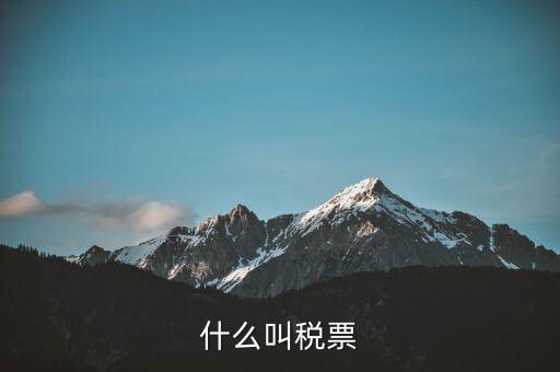 納稅稅票是什么，什么叫稅票