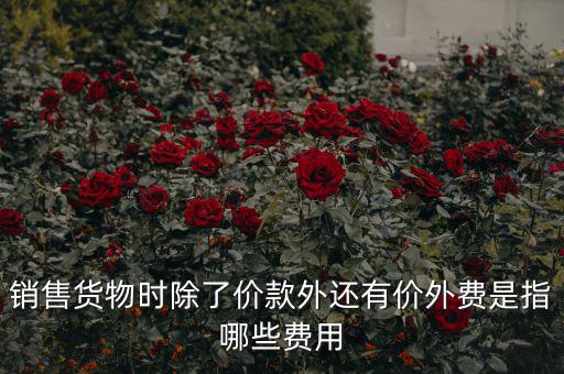 什么叫價外費(fèi)用，屬于價外費(fèi)用的是什么