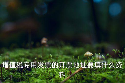 增值稅專(zhuān)用發(fā)票的開(kāi)票地址要填什么資料