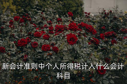 所得稅費(fèi)用什么科目，新會計(jì)準(zhǔn)則中個人所得稅計(jì)入什么會計(jì)科目