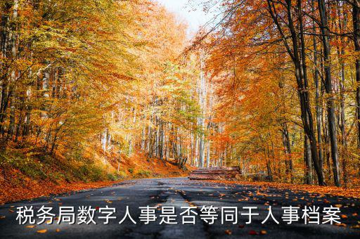 數(shù)字人事國(guó)稅是什么，數(shù)字人事第一段怎么劃分