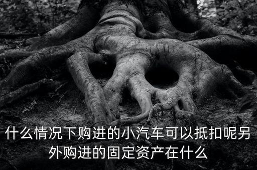 什么情況下購進(jìn)的小汽車可以抵扣呢另外購進(jìn)的固定資產(chǎn)在什么