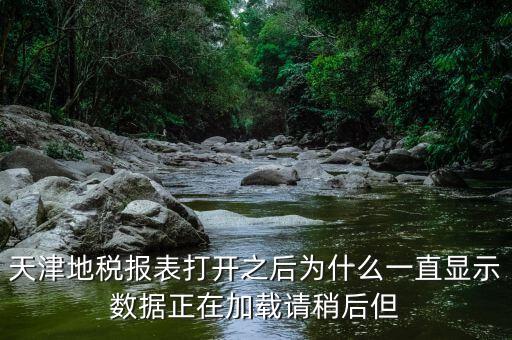 天津地稅為什么，天津地稅報(bào)表打開之后為什么一直顯示數(shù)據(jù)正在加載請(qǐng)稍后但