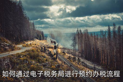 國(guó)稅局預(yù)約有什么，拿金稅盤去國(guó)稅前臺(tái)弄要預(yù)約嗎