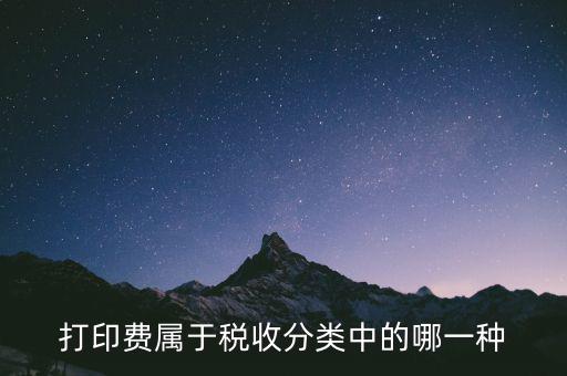 打字復印是什么稅種，我在鄉(xiāng)鎮(zhèn)辦了一家打字復印店請問需交納哪些稅
