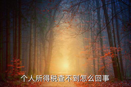 個(gè)人所得稅扣減為什么查不到，個(gè)人所得稅為什么不能在網(wǎng)上查找