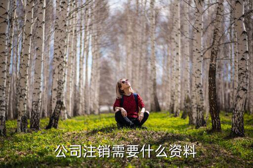企業(yè)注銷需提供什么資料，公司注銷需要哪些資料