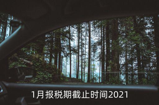 1月份地稅什么時候申報，報稅一般都是每個月什么時候報稅