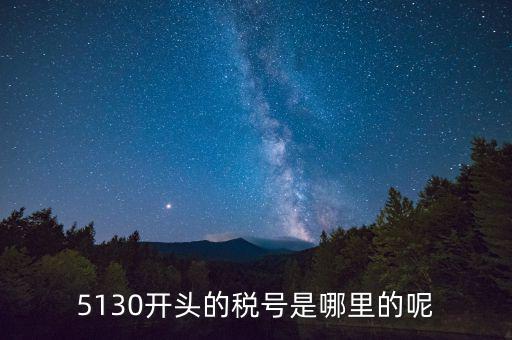 四川一般納稅人稅號以什么開頭，5130開頭的稅號是哪里的呢