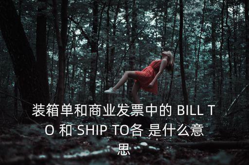 發(fā)票中b o是什么意思，在形式發(fā)票中Merrs是什么意思啊