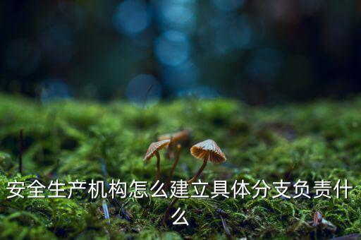 什么是三級分支機構(gòu)，英語三級發(fā)證機構(gòu)是什么