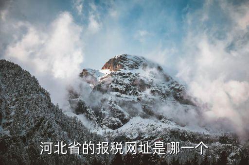 河北稅務(wù)官網(wǎng)是什么，怎么打開河北省國稅網(wǎng)站
