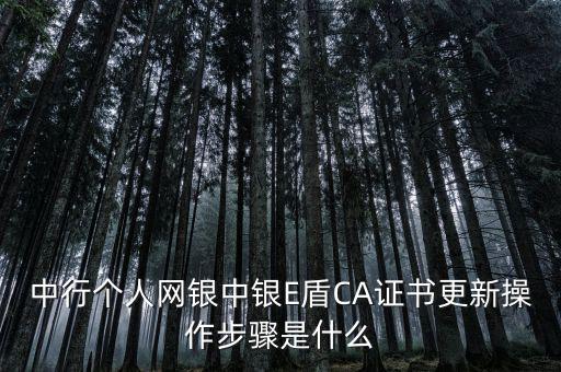 升級(jí)ca需要什么，CA證書怎么從副盤升級(jí)成正盤