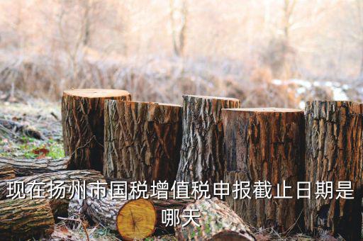 揚(yáng)州10月稅務(wù)申報(bào)什么時(shí)候，個(gè)人所得稅10月份申報(bào)期限是多少