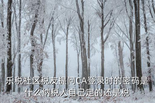 什么是國稅ca密碼，樂稅社區(qū)稅友提問CA登錄時的密碼是什么納稅人自己定的還是稅