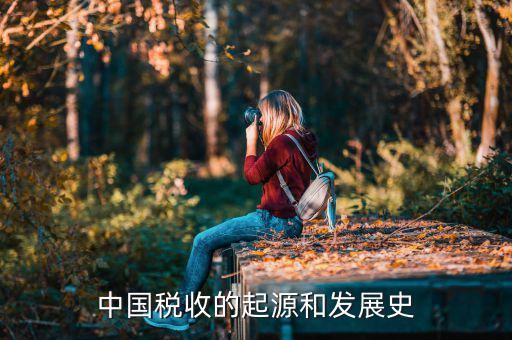 稅收產(chǎn)生于什么社會，稅收的起源