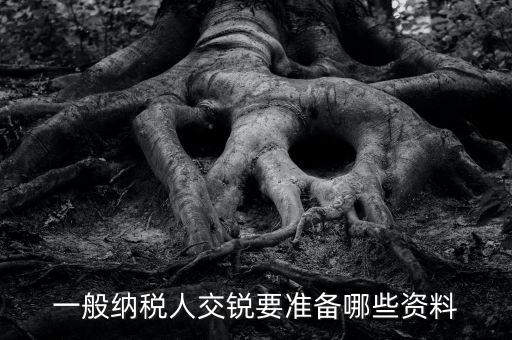 交稅需要什么資料，一般納稅人交銳要準(zhǔn)備哪些資料