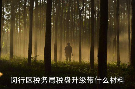 去升級(jí)稅控盤要帶什么，去國(guó)稅稅控盤升級(jí)需要帶哪些材料